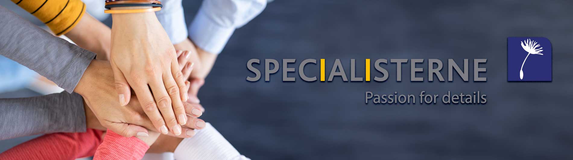 Neurodiversity Specialisterne