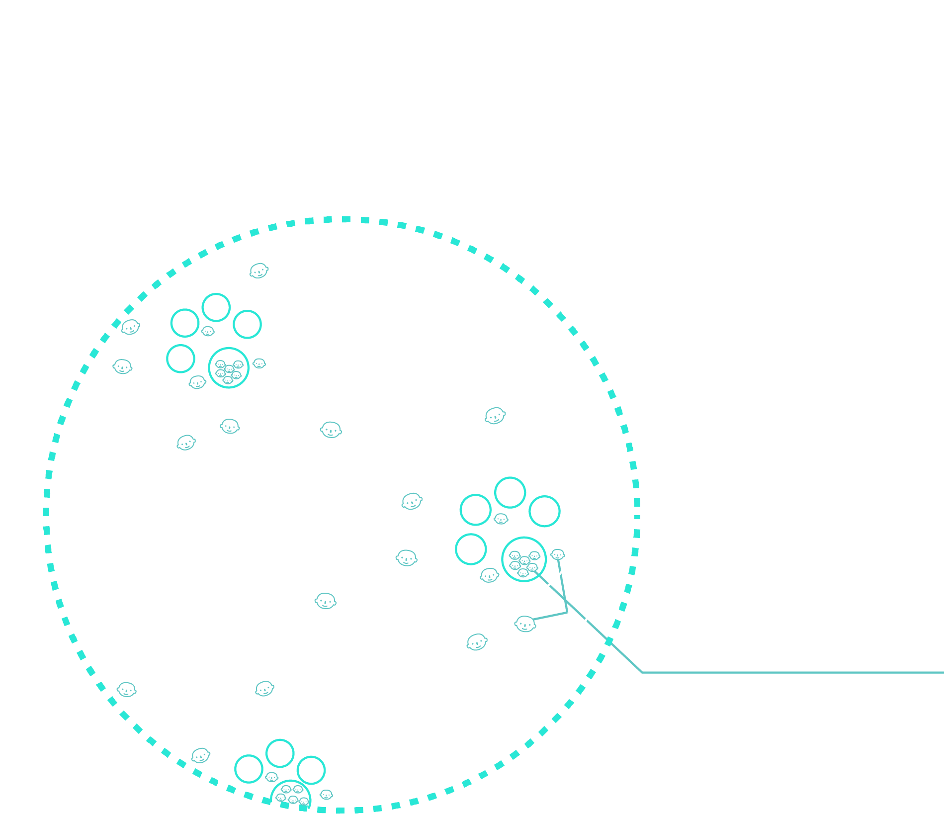 Organisation